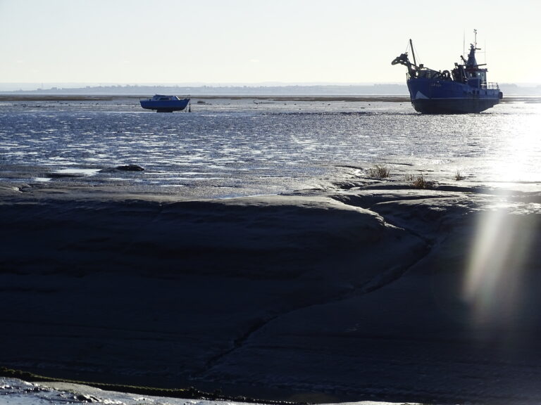 Thames Estuary